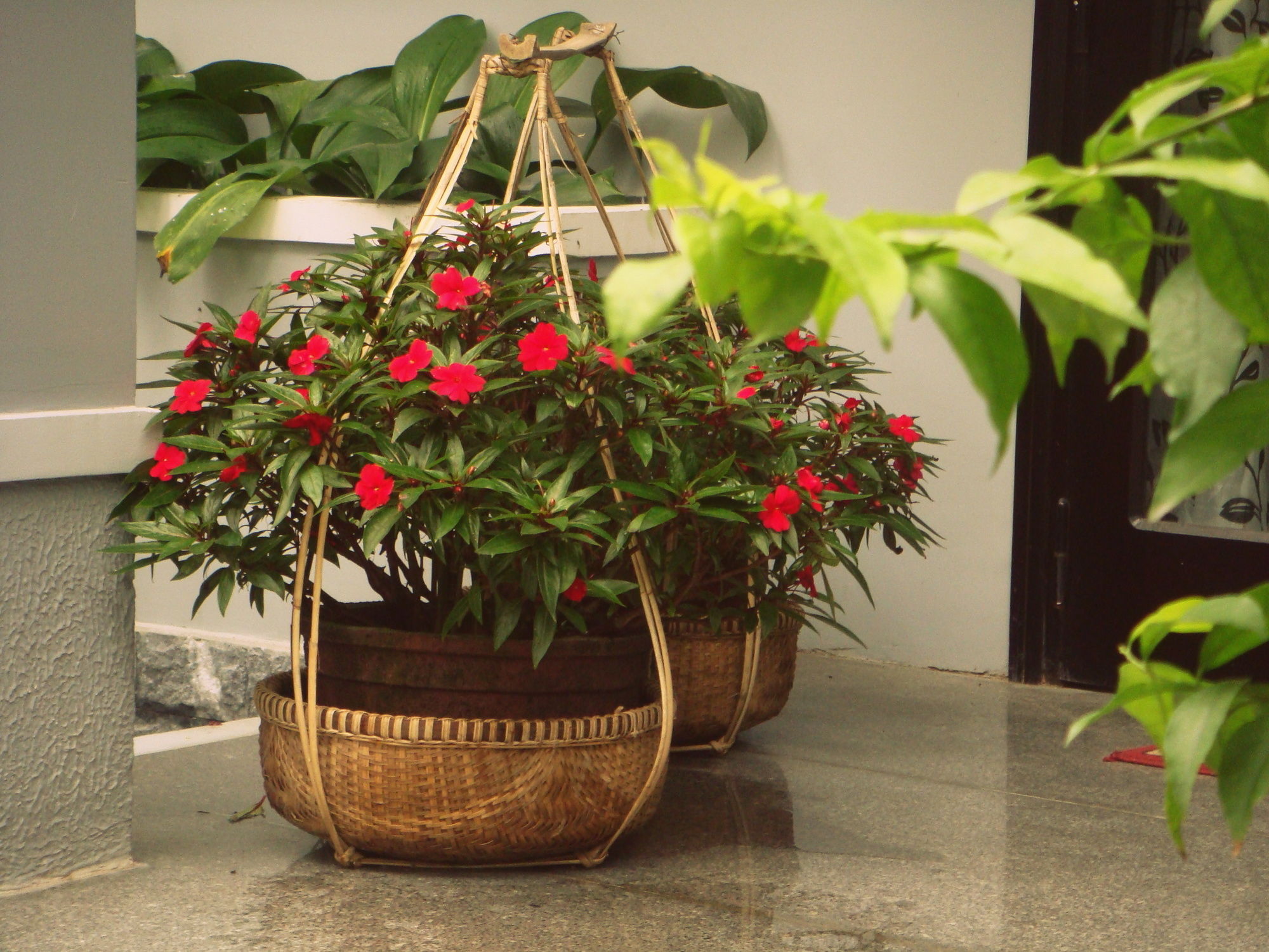 Фото Green Coco Homestay Hoi An