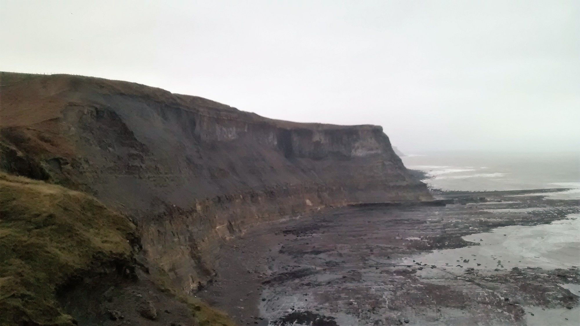 Фото The Pebbles