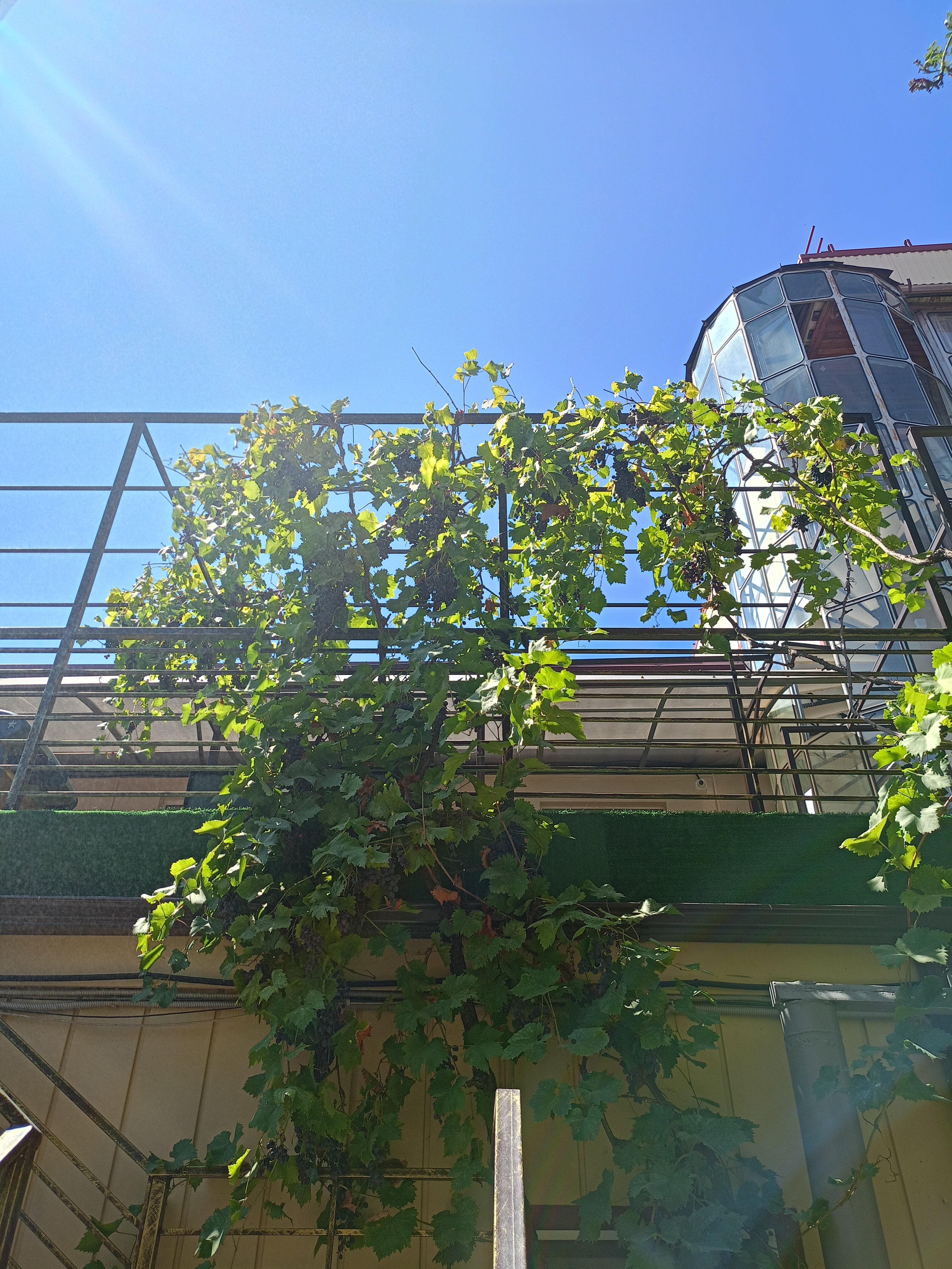 Фото Дивноморское Рандеву