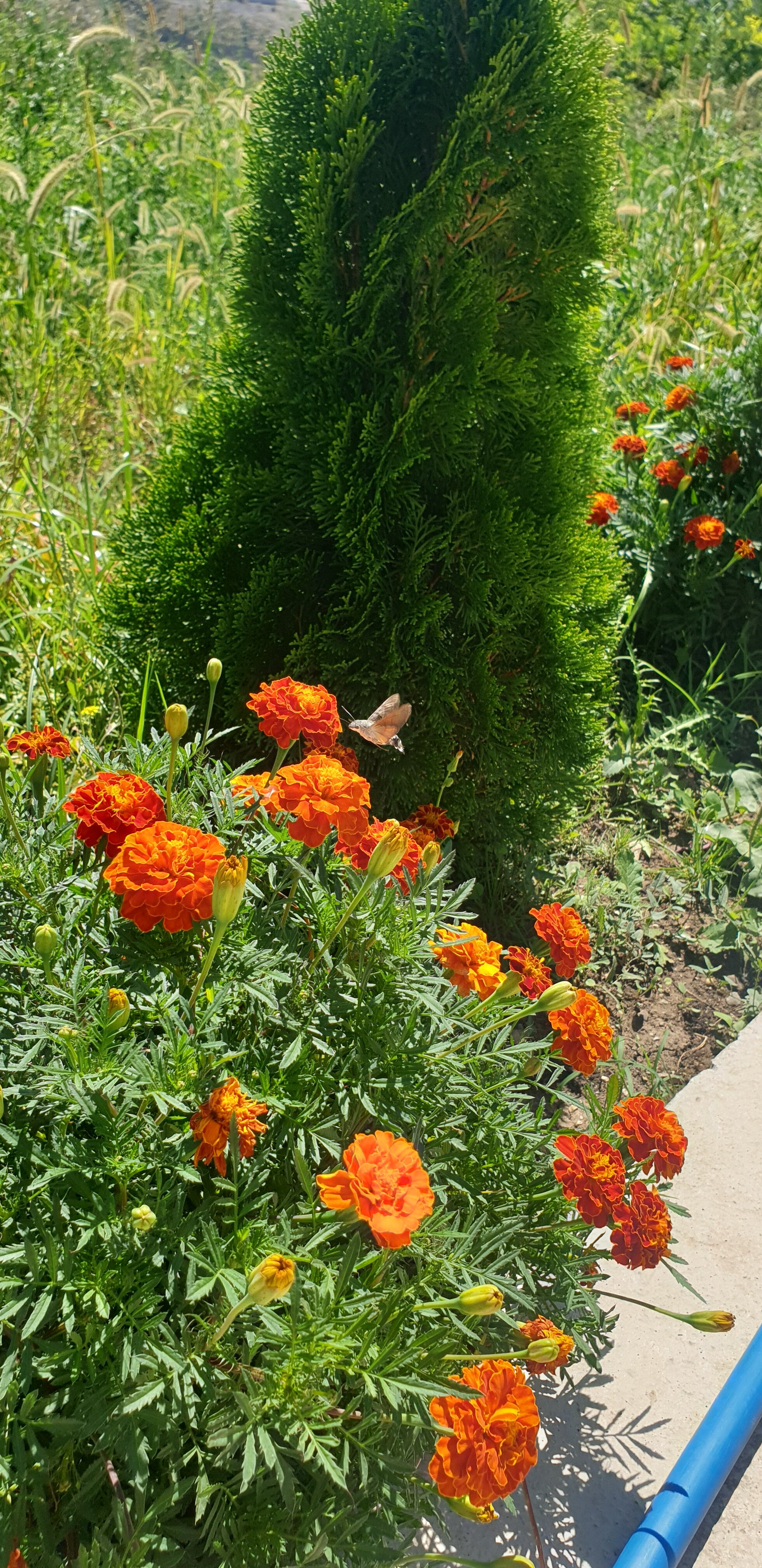 Фото У Хабиба