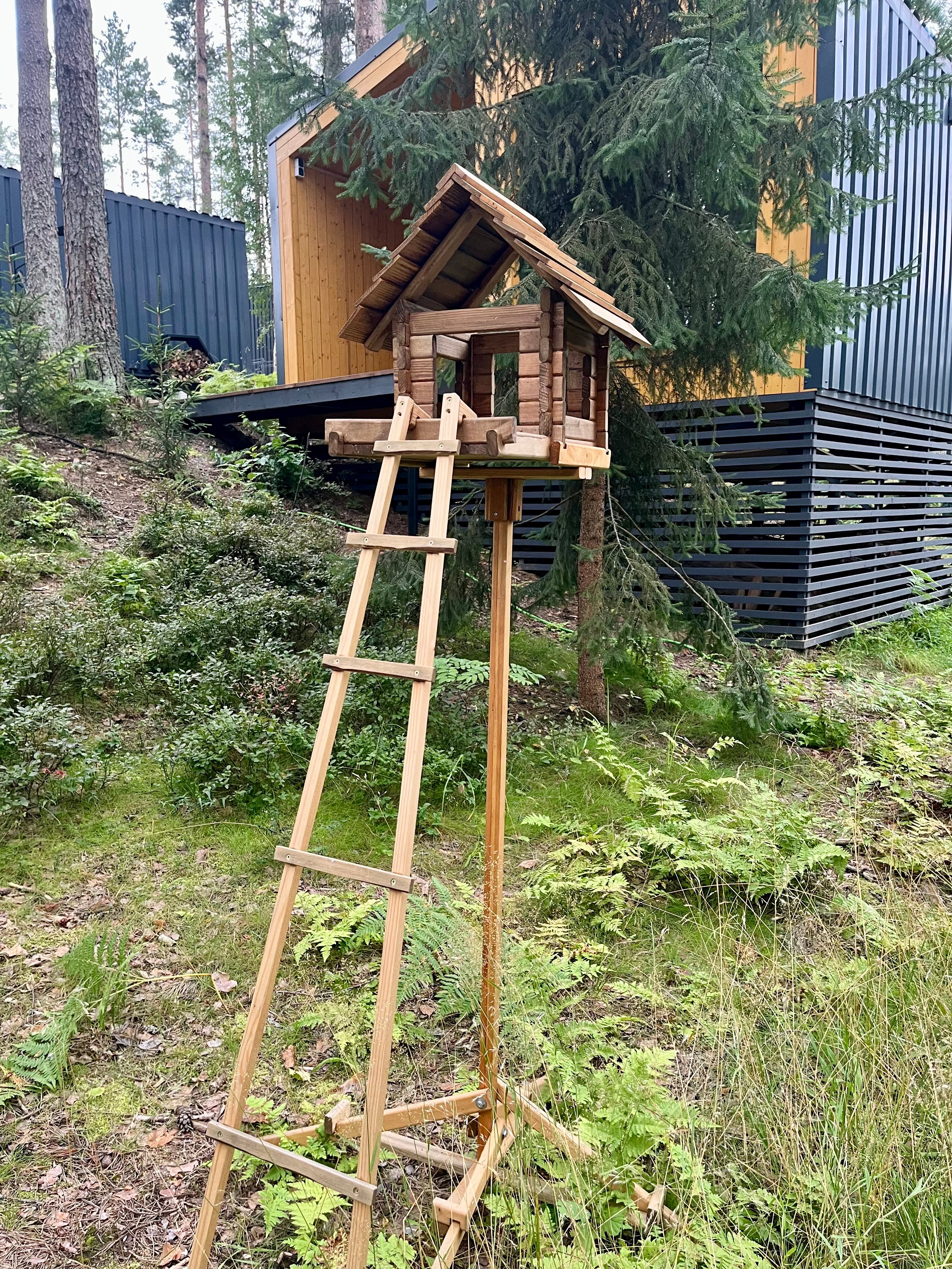 Фото Территория отдыха Лисички