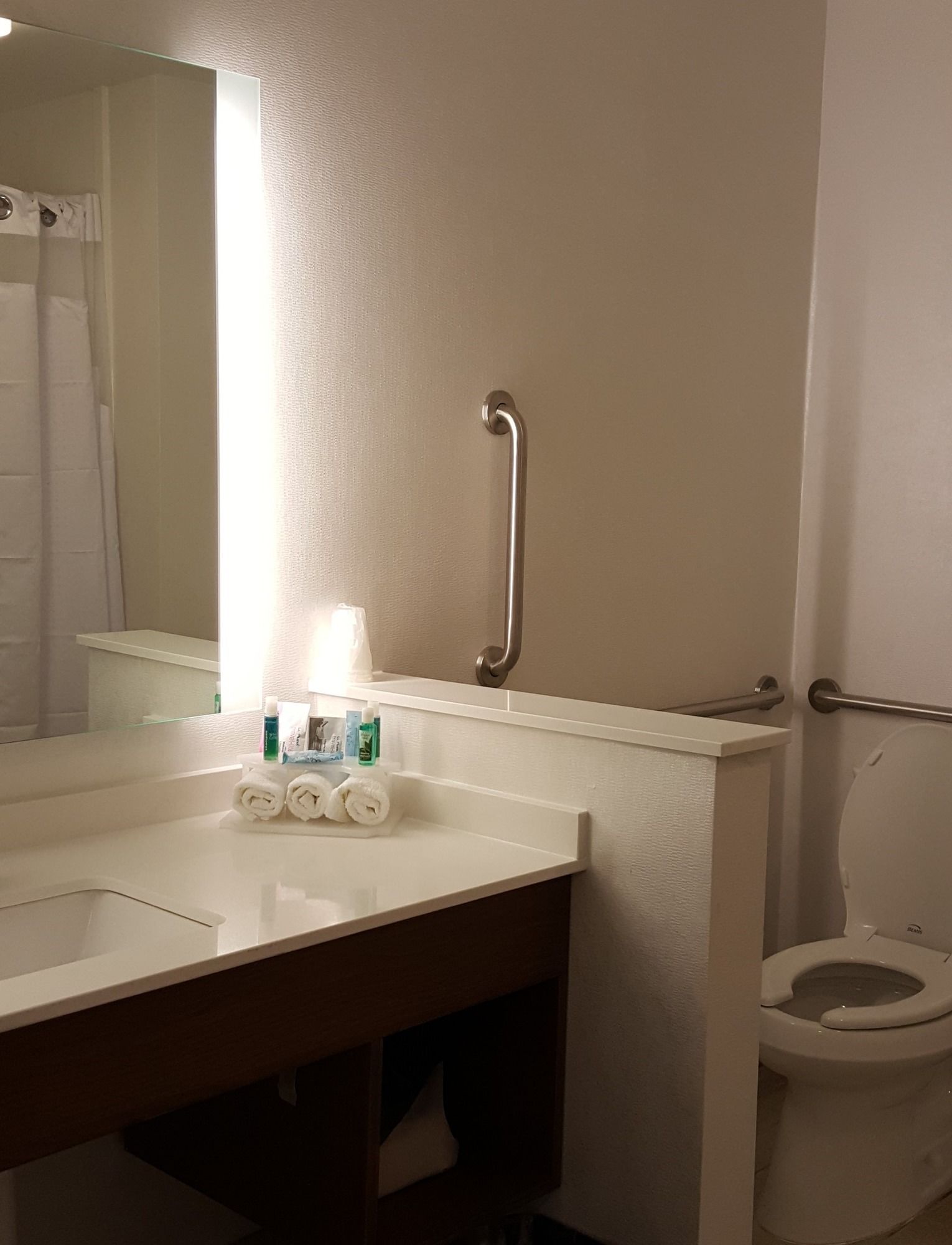 Фото Holiday Inn Express & Suites Toledo West, an Ihg Hotel