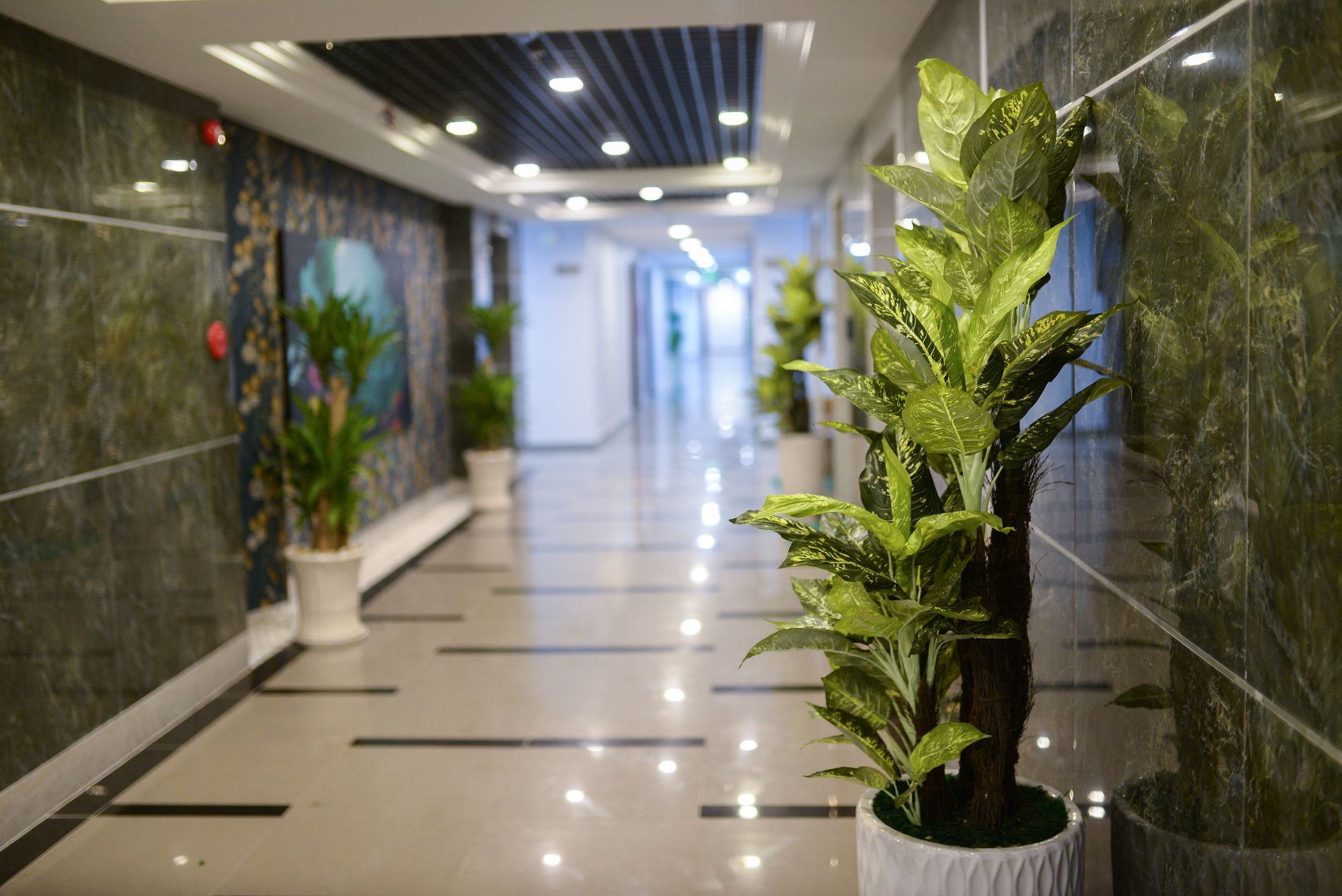 Фото Coral Hotel