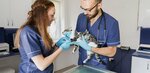 Vetmania Veteriner Kliniği (İstanbul, Kadikoy, Bagdat Avenue, 520A) ، عيادة بيطرية