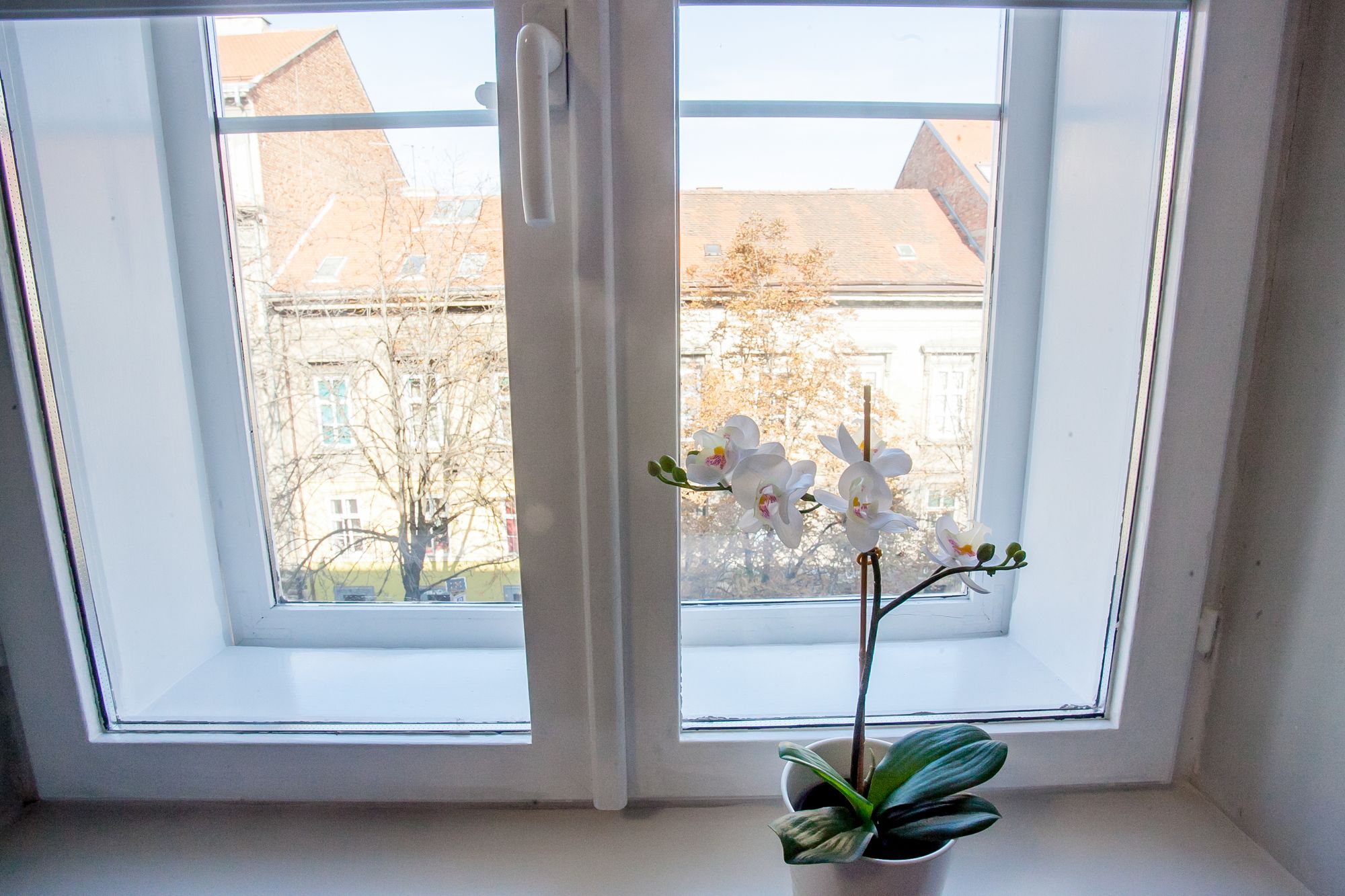 Фото Zagreb City Vibe Apartments & Rooms