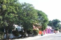 Фото Obesa Lodge