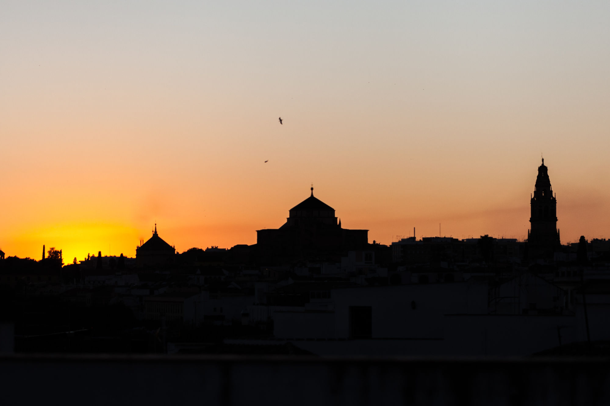 Фото Hotel Viento10