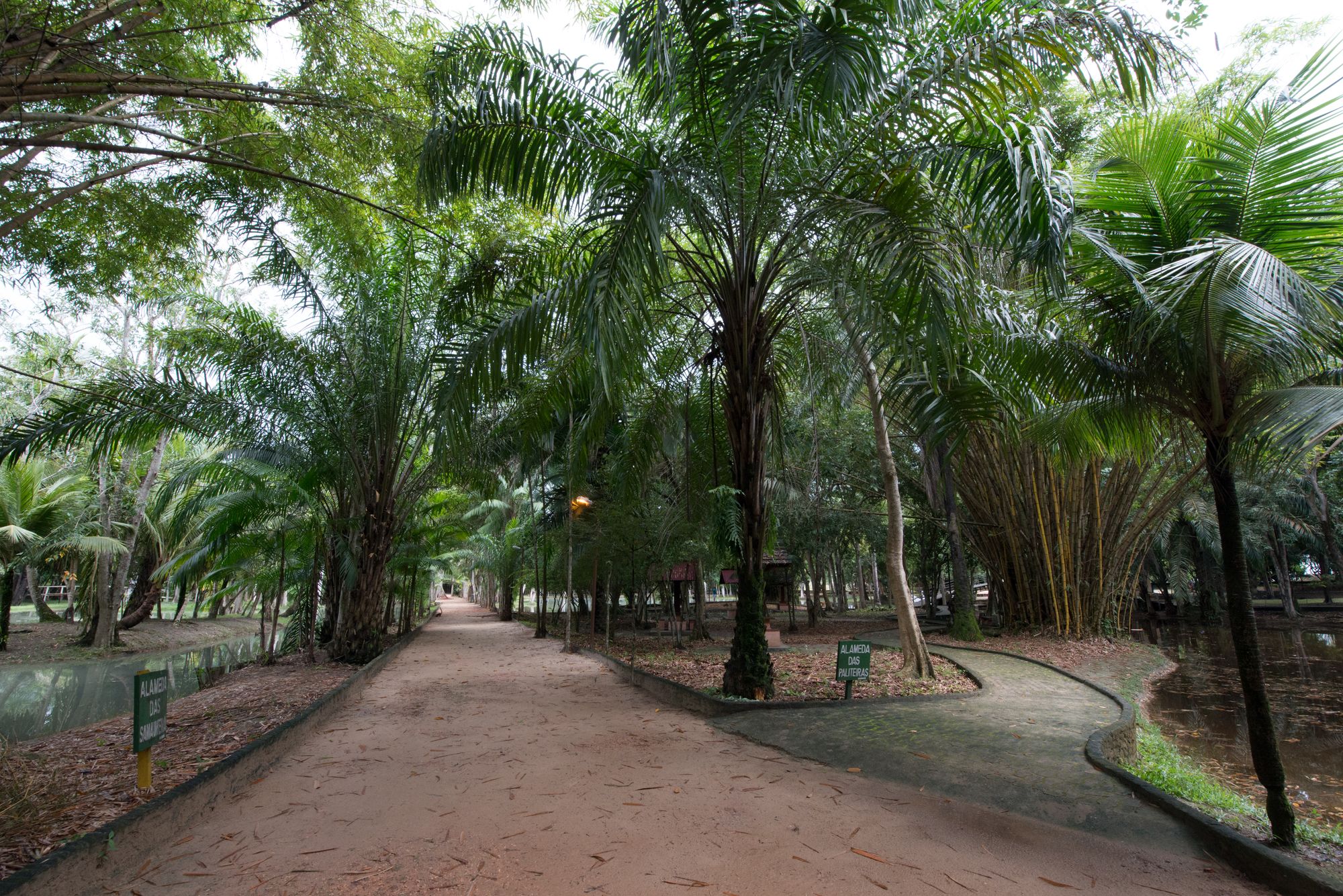 Фото Hotel Regente Paragominas