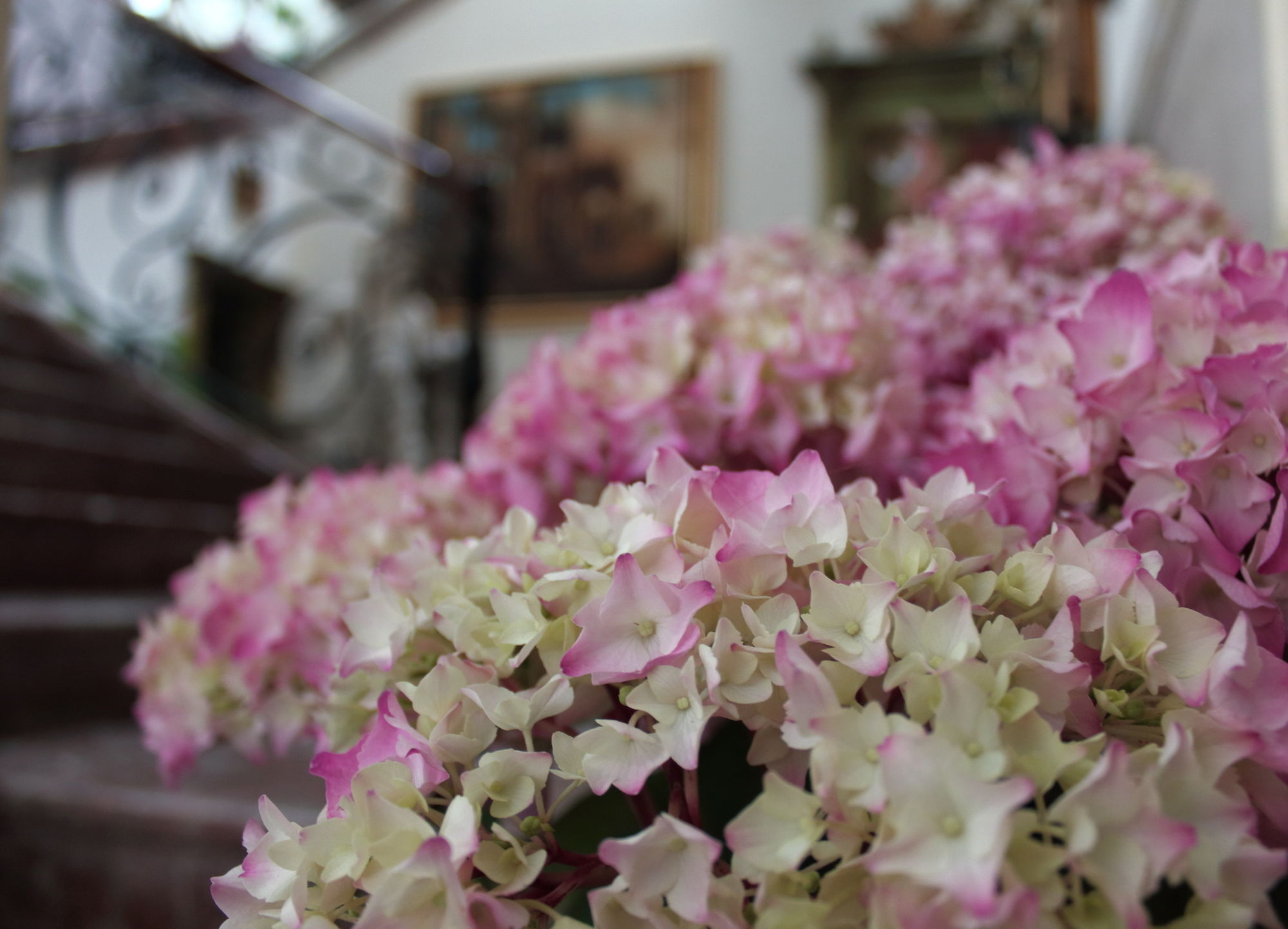 Фото Villa Taormina