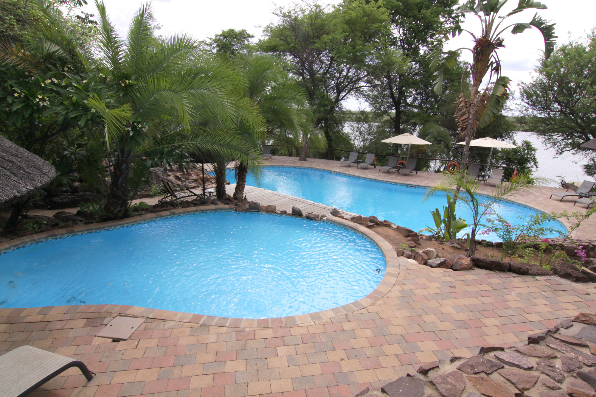 Фото Cresta Mowana Safari Resort & SPA