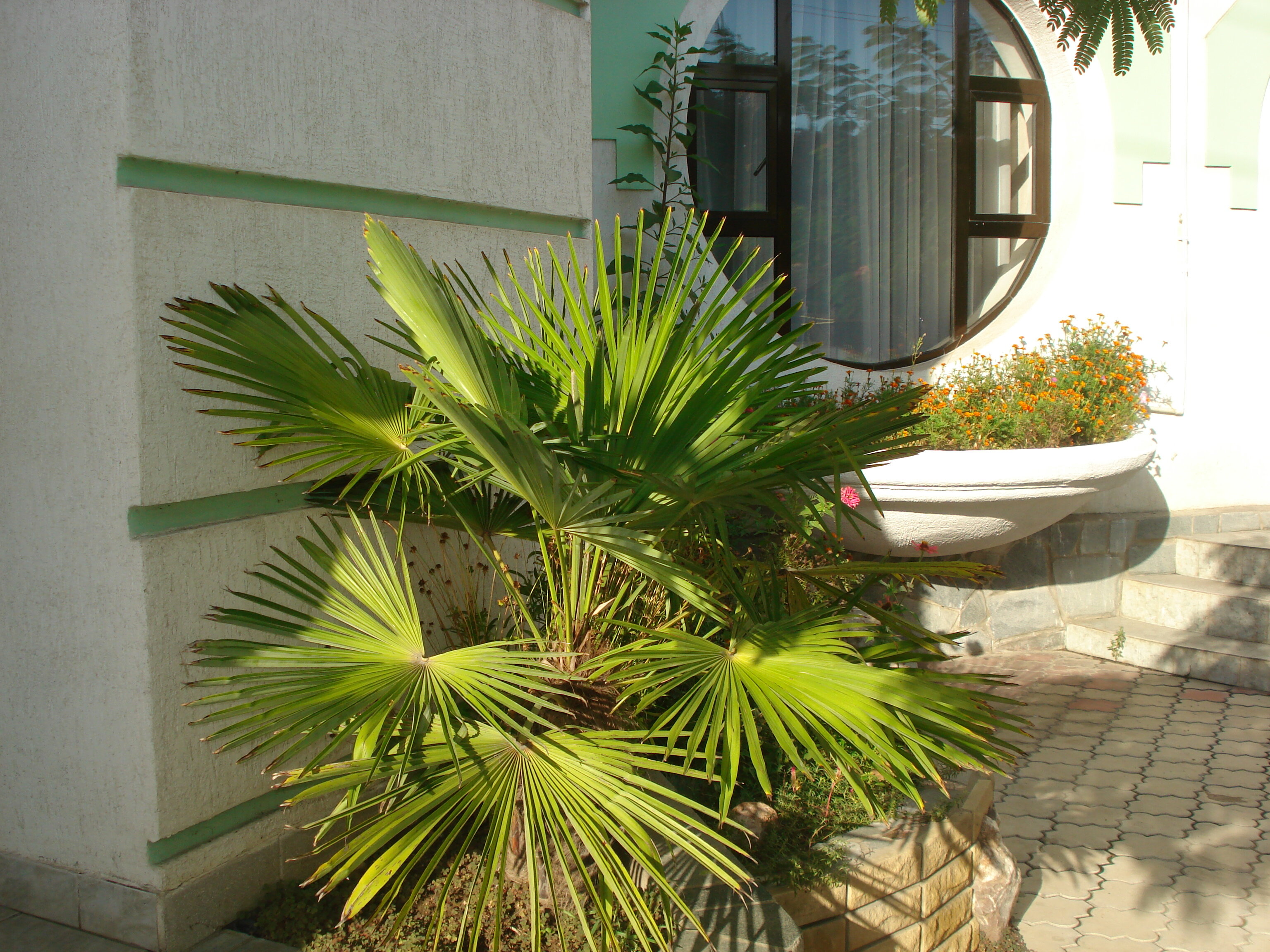 Фото Гостиница Москва