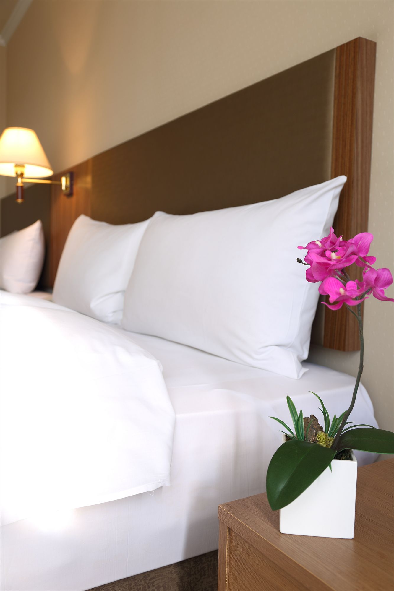 Фото Hotel j Metropolis