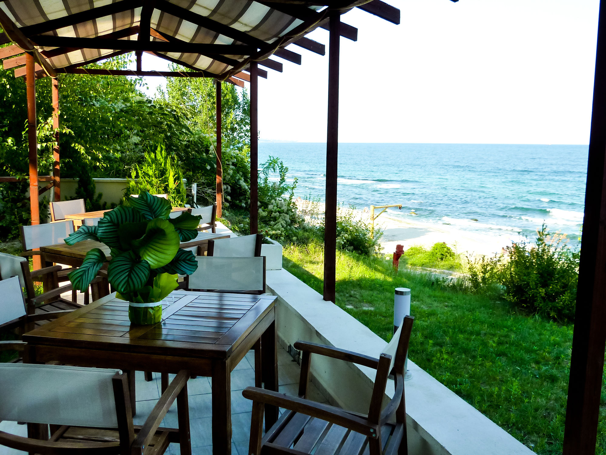 Фото Family Hotel Albizia