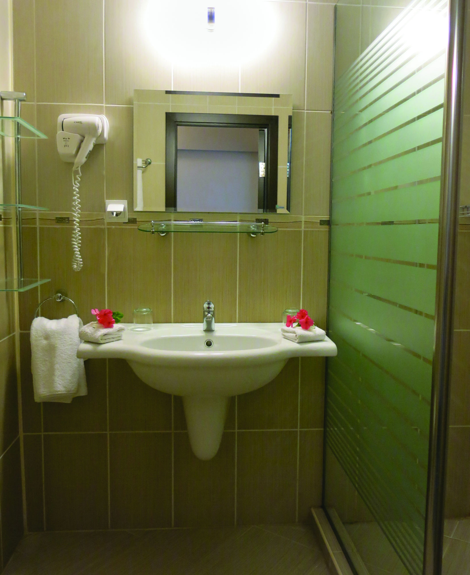 Фото Family Hotel Albizia