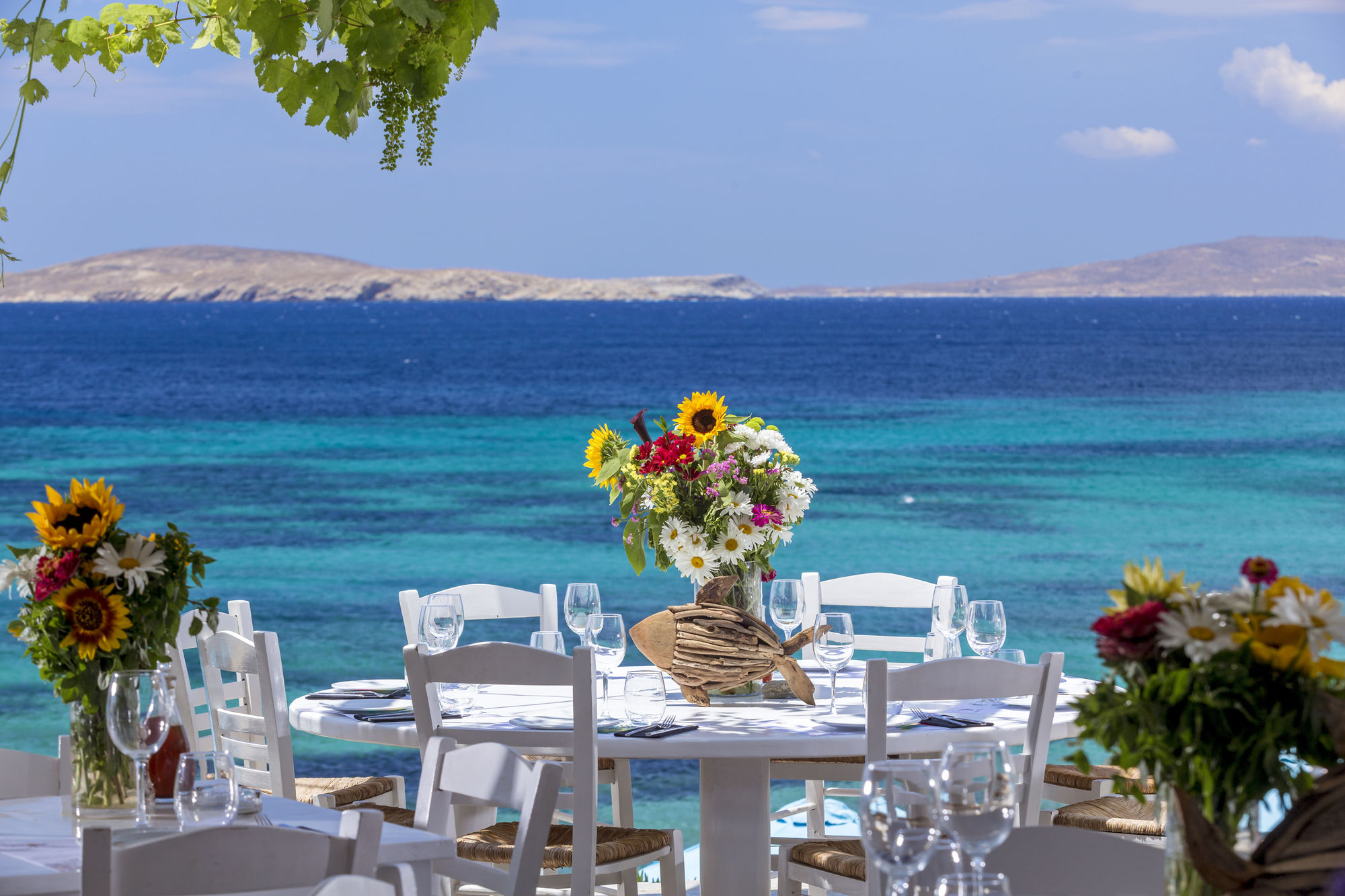 Фото Hippie Chic Hotel