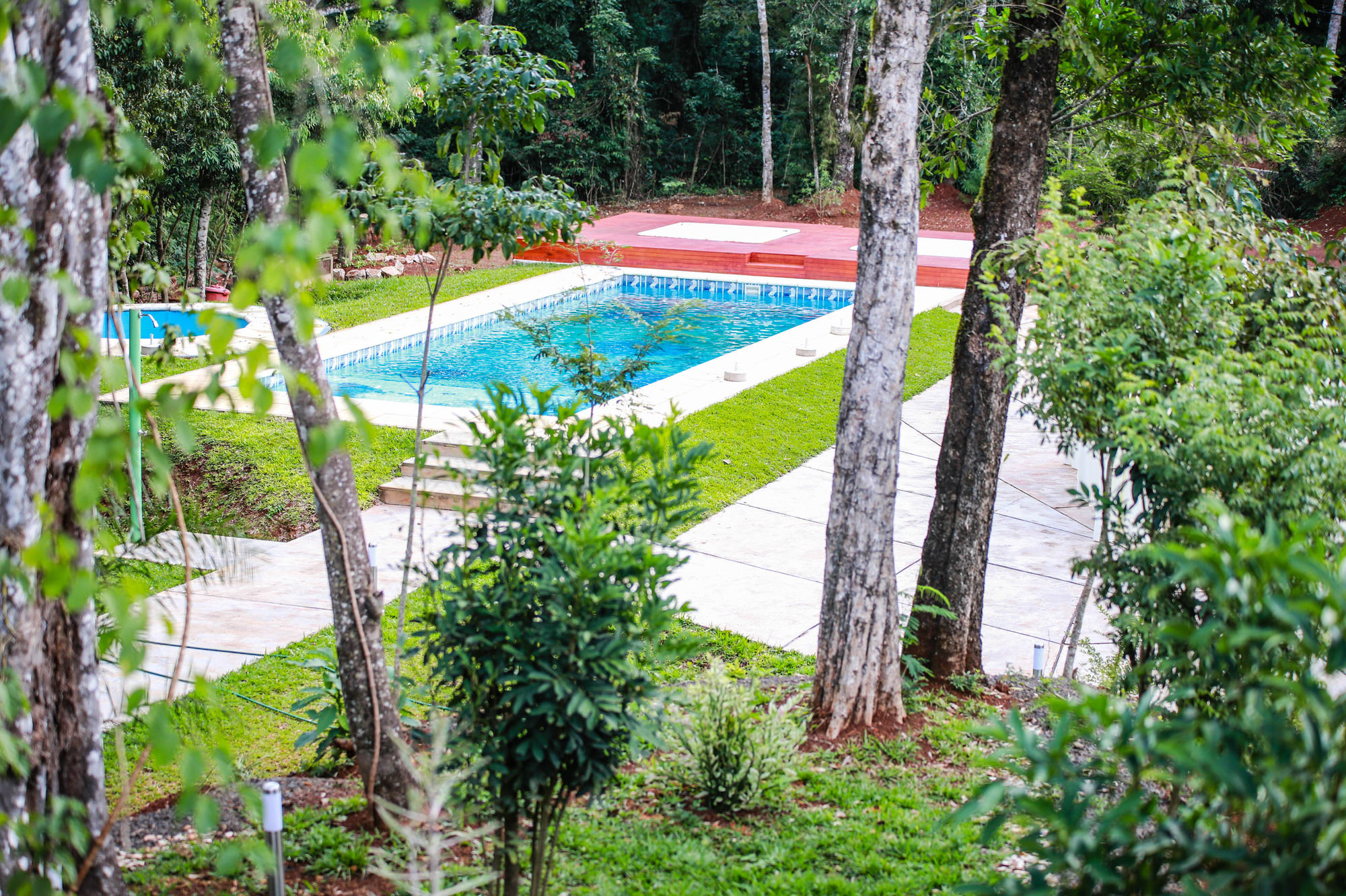 Фото Rainforest Hotel & Cabañas