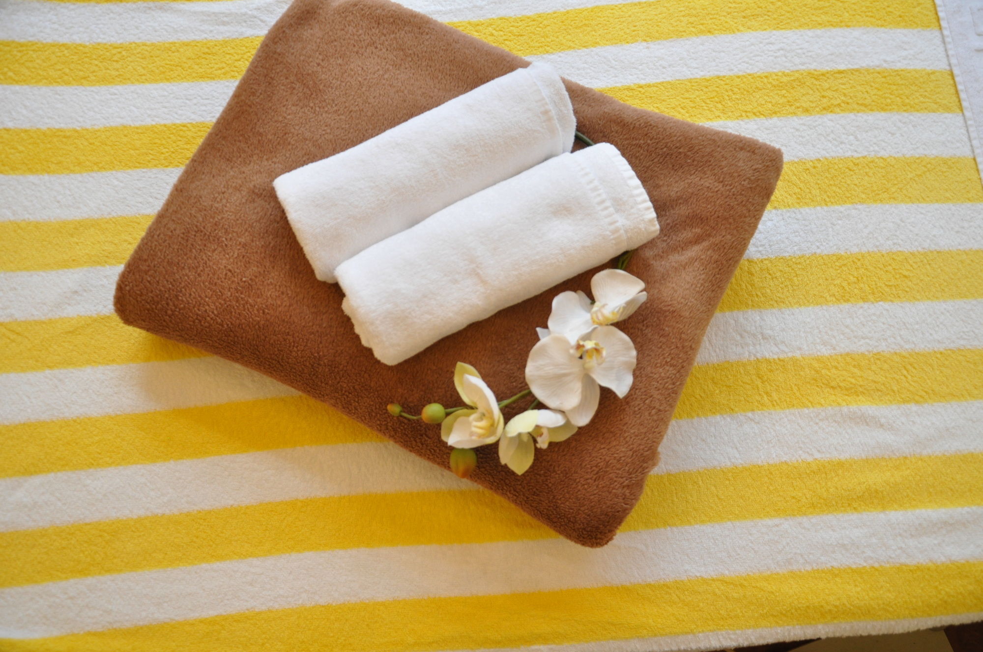 Фото Aurelia Hotel St. Hubertus