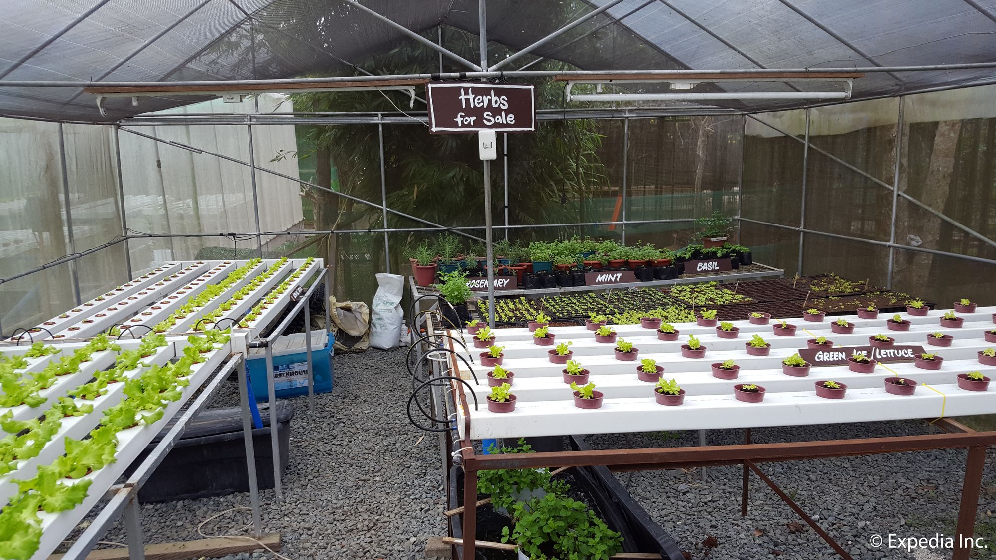 Фото Hotel Kimberly Tagaytay