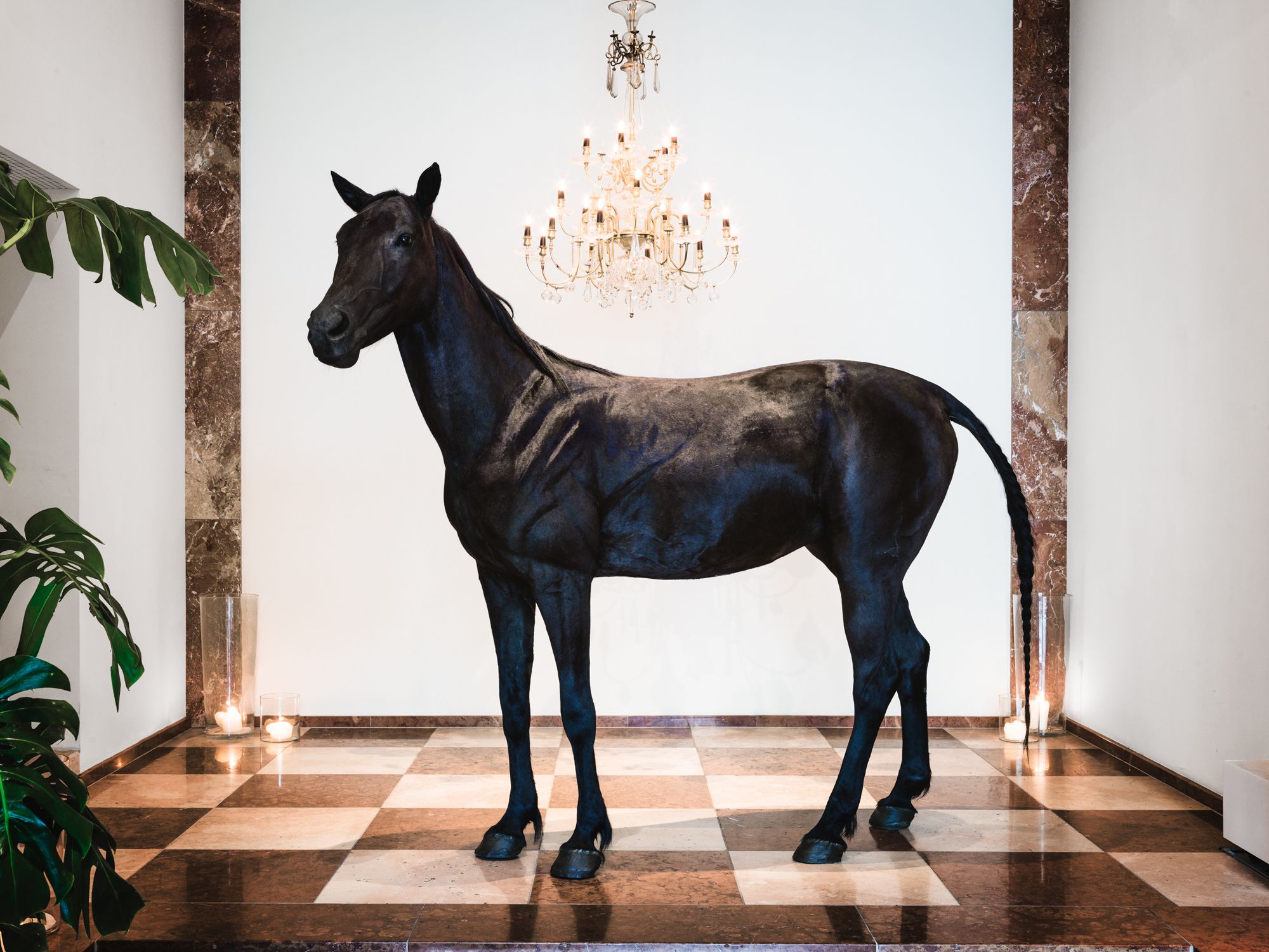 Фото Grand Ferdinand 