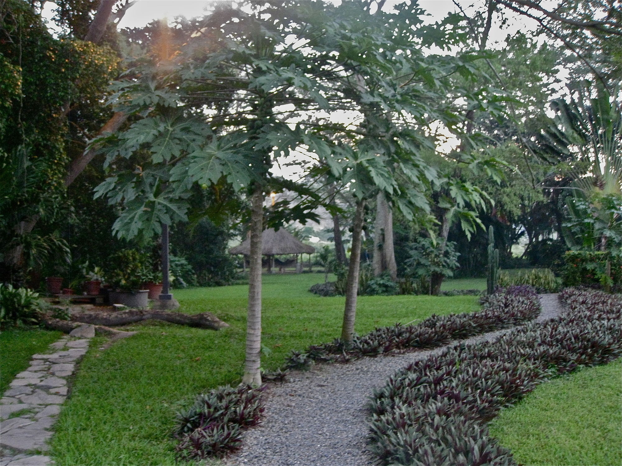 Фото Metrotel Express