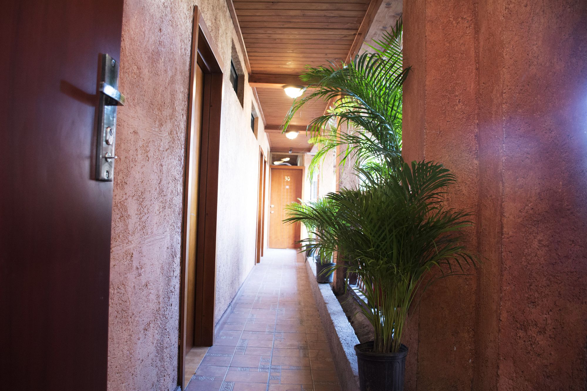 Фото B & B Comfy Inn