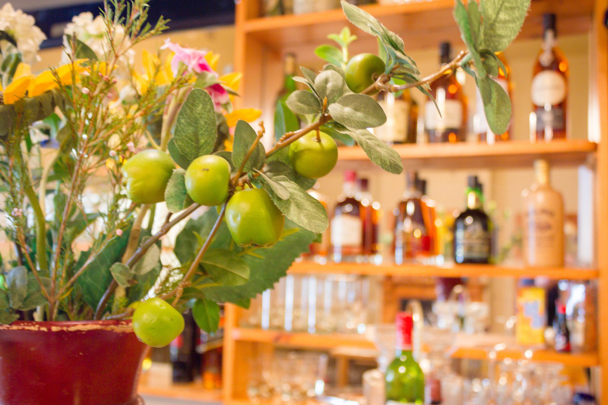 Фото Adley House Guesthouse