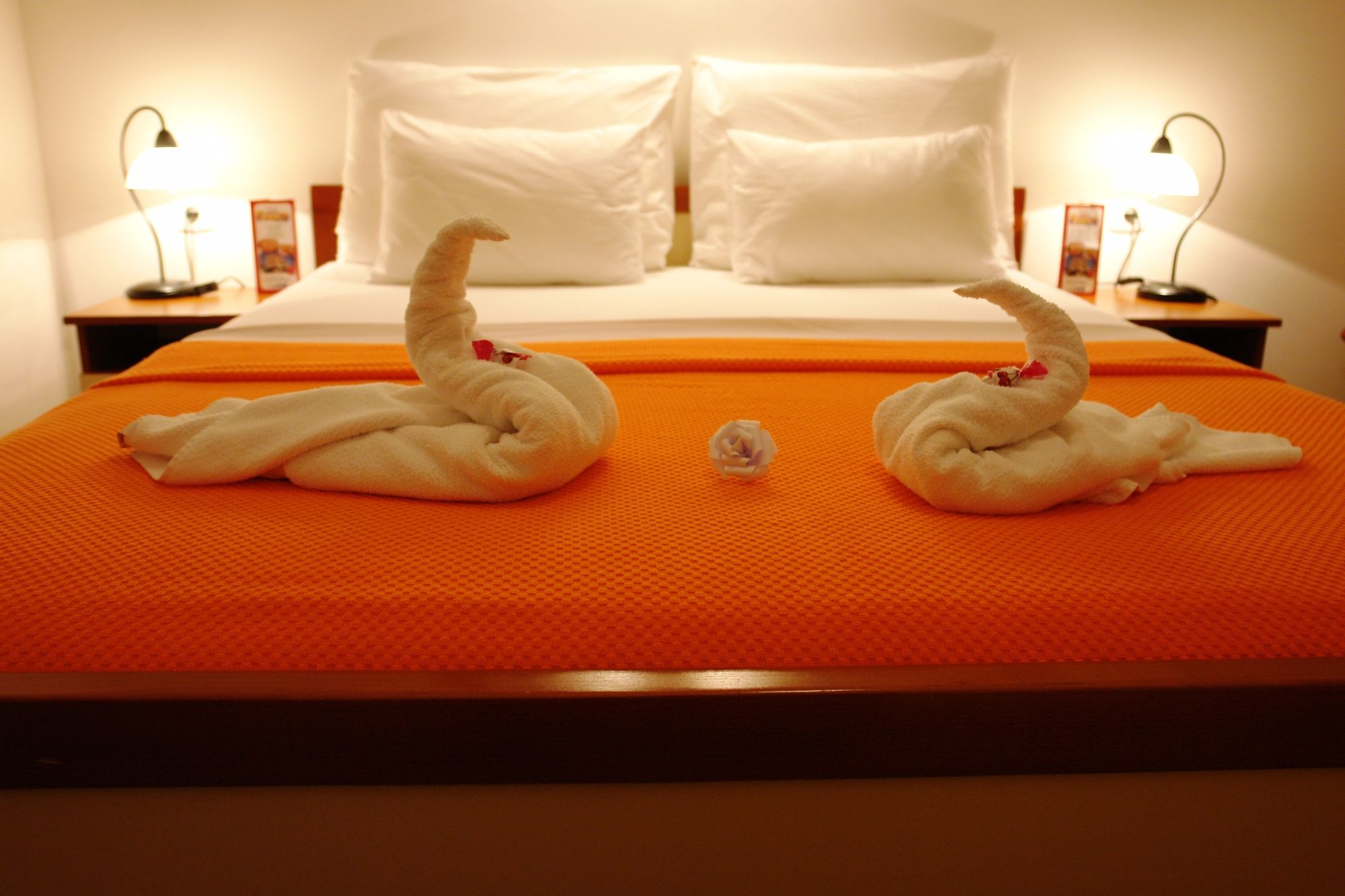 Фото Hotel Fineso