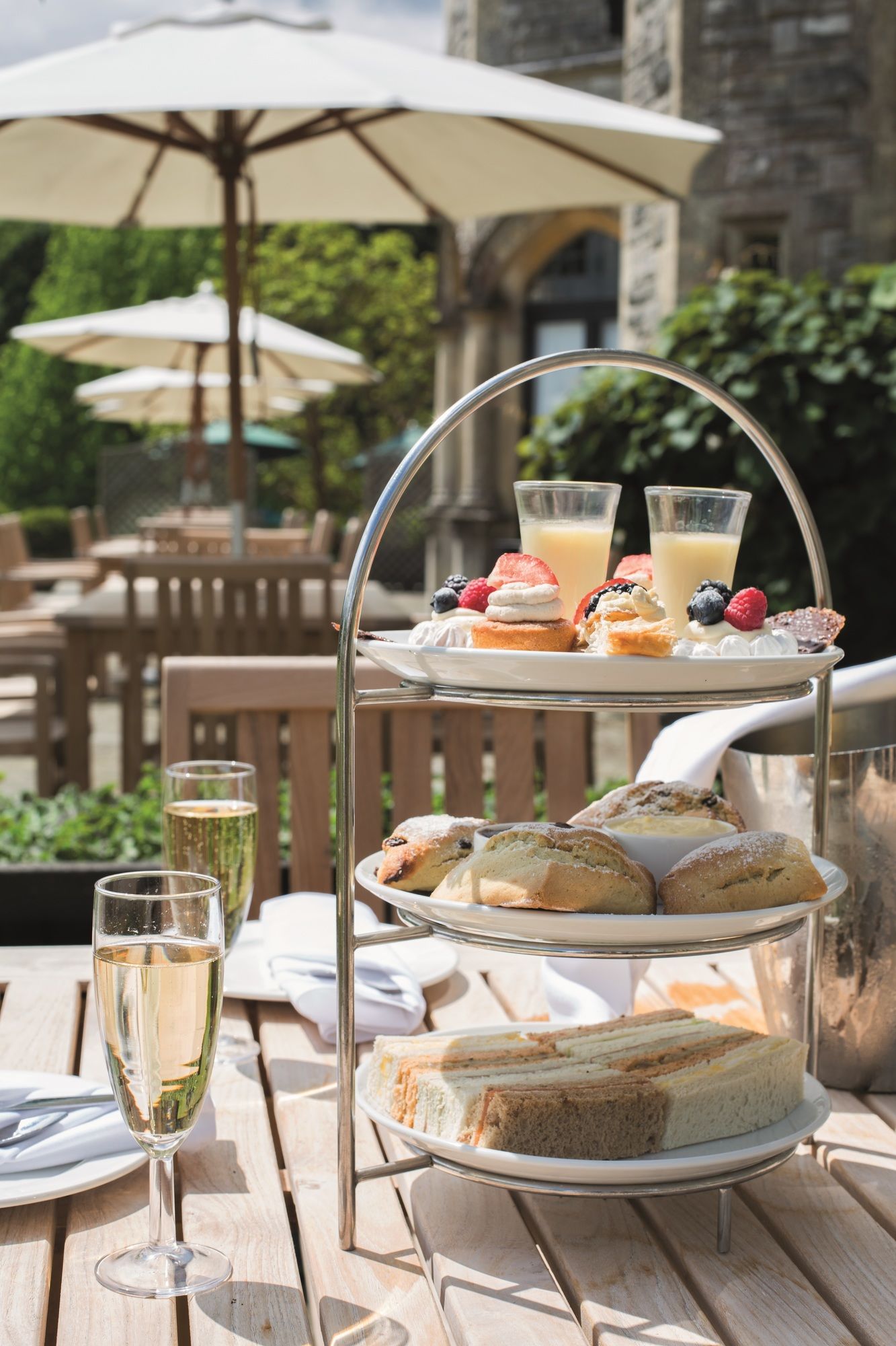 Фото Rhinefield House Hotel