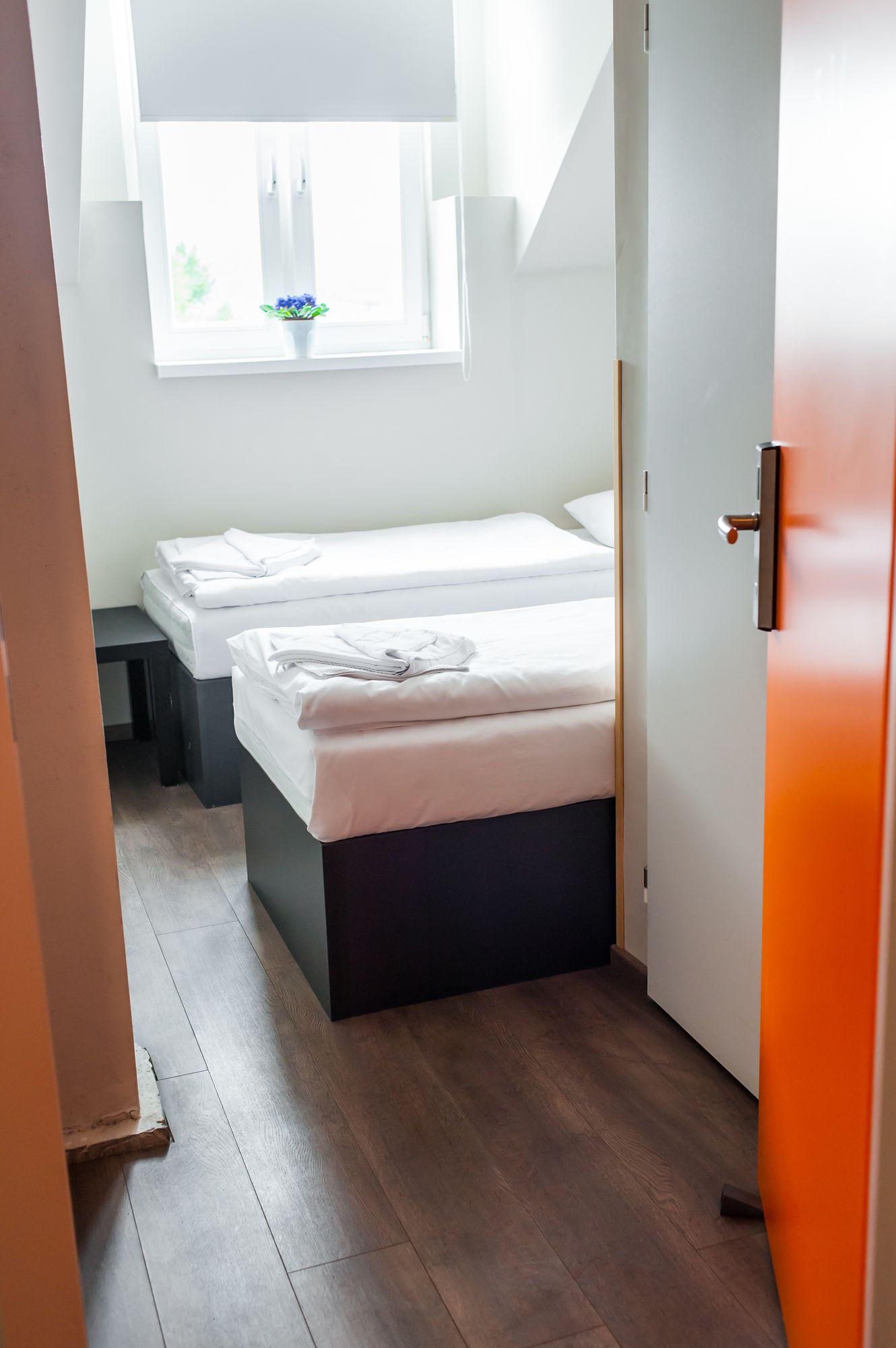 Фото 74096153929