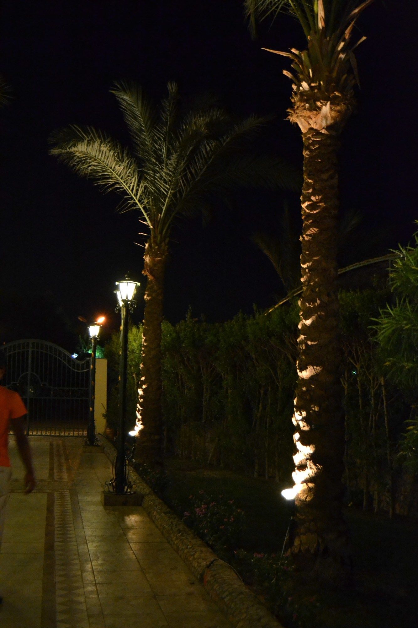 Фото Апартаменты Green Garden Resort