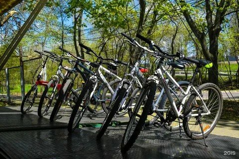 Фото Восток