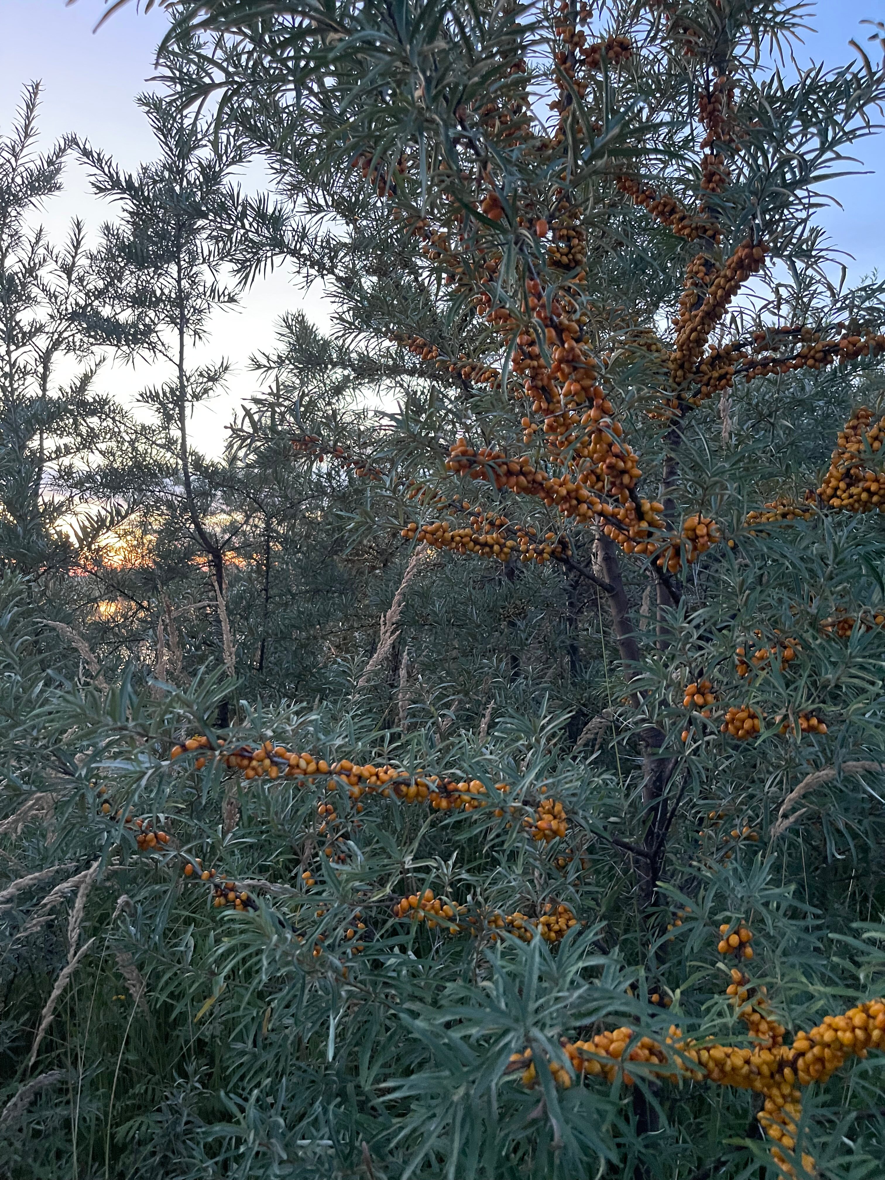 Фото Отдых и точка