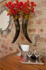 Фото Earthbound B&b