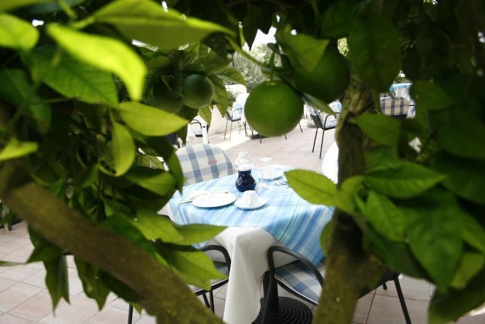 Фото Villa Marija