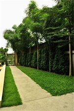 Фото Tamnak Villa