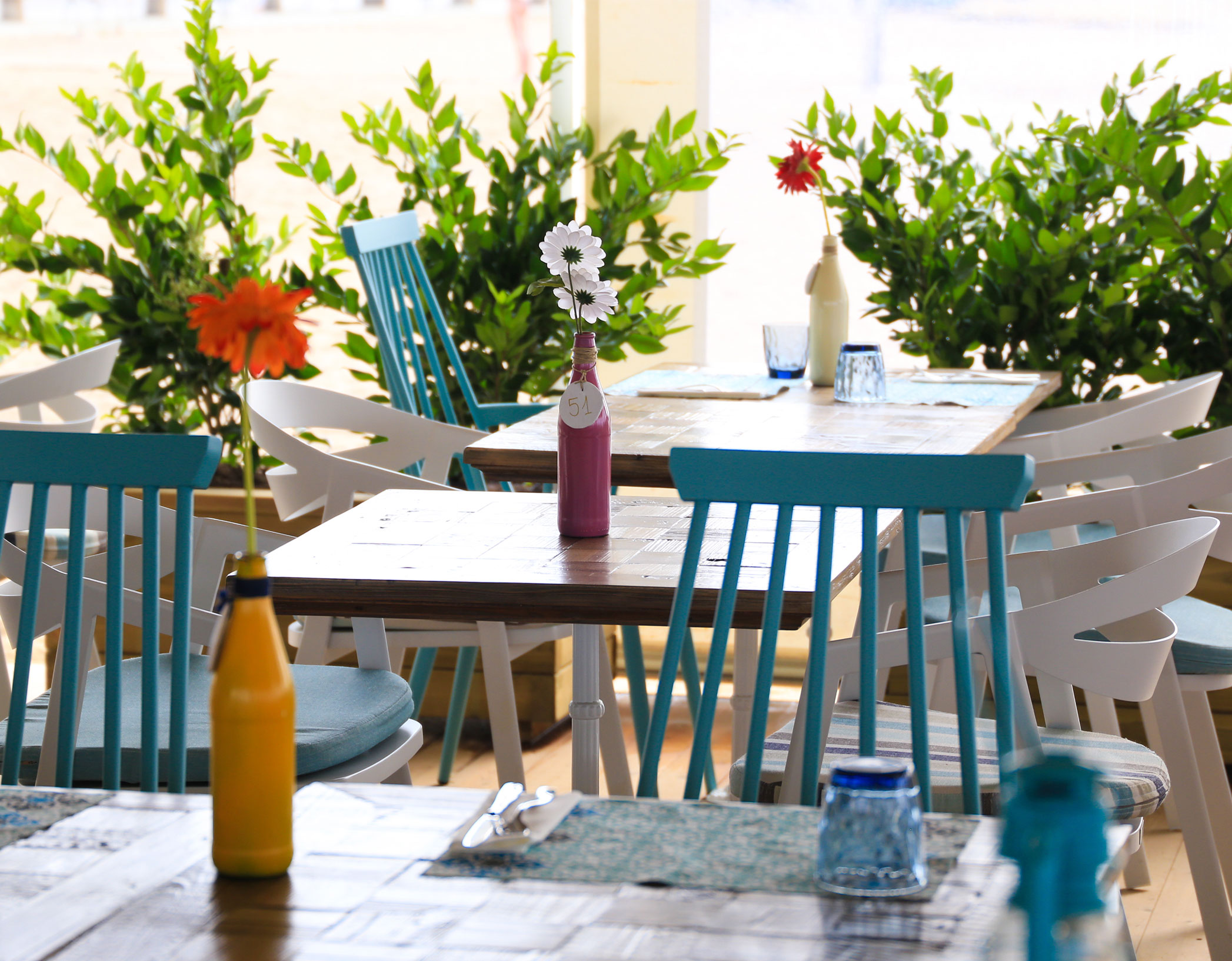 Фото Kaktus Hotel Volga