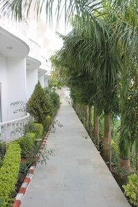 Гостиница Hotel Isabel Palace