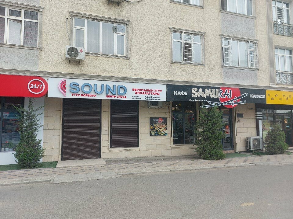 Hearing aids Sound, Osh, photo