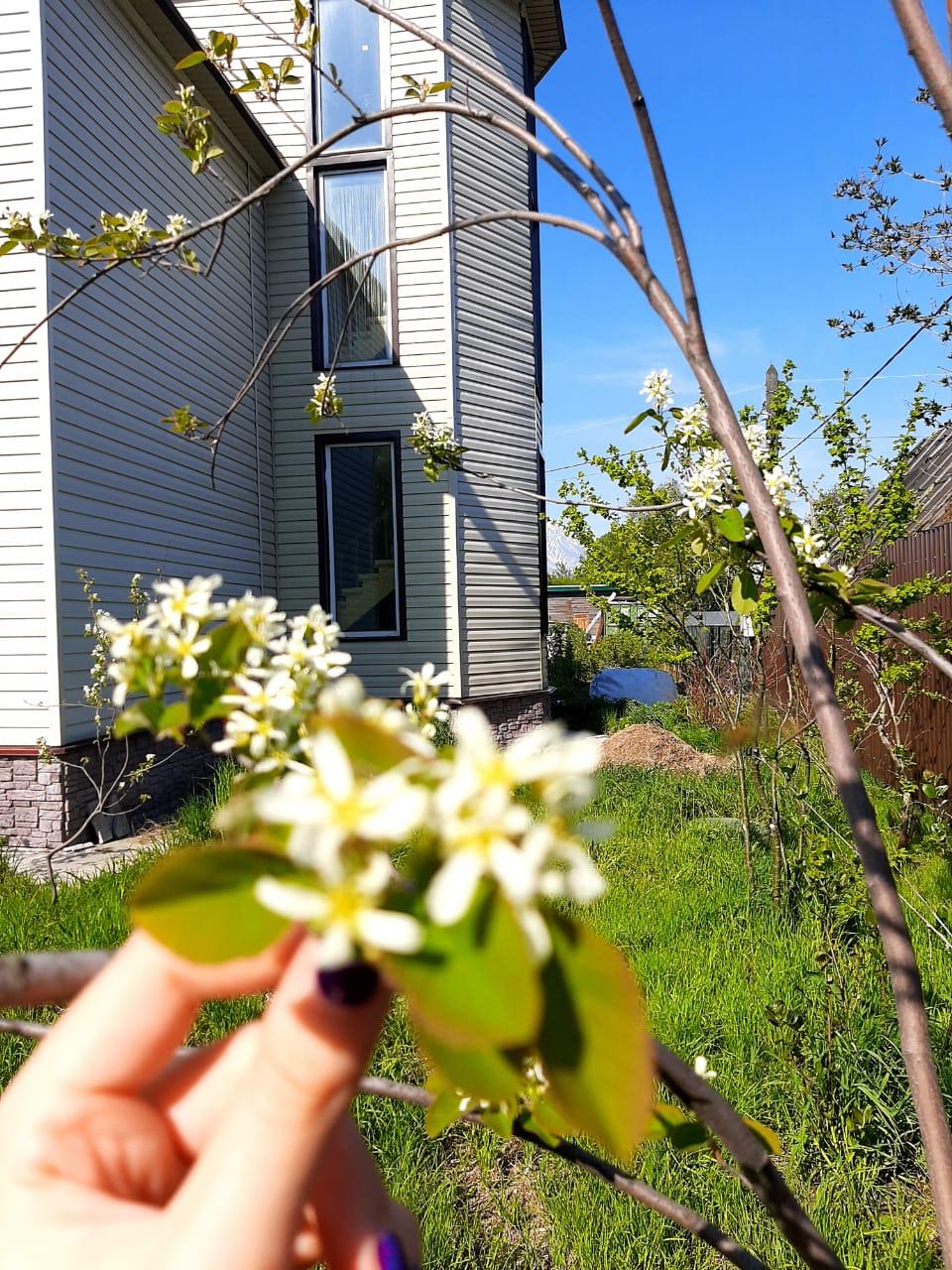 Фото Камчатдар