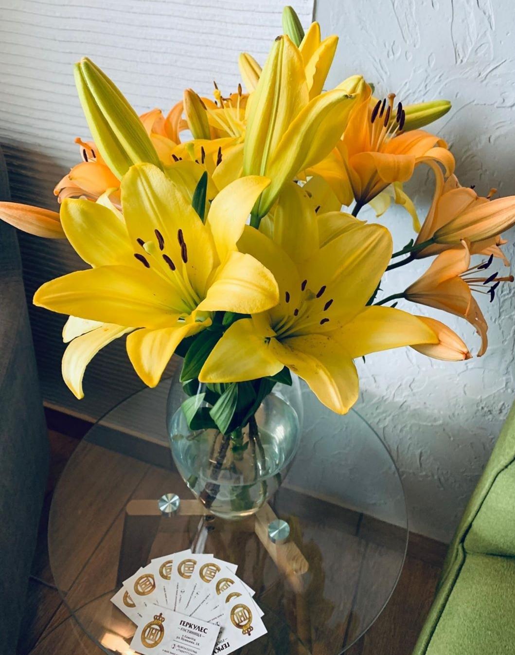 Фото Геркулес