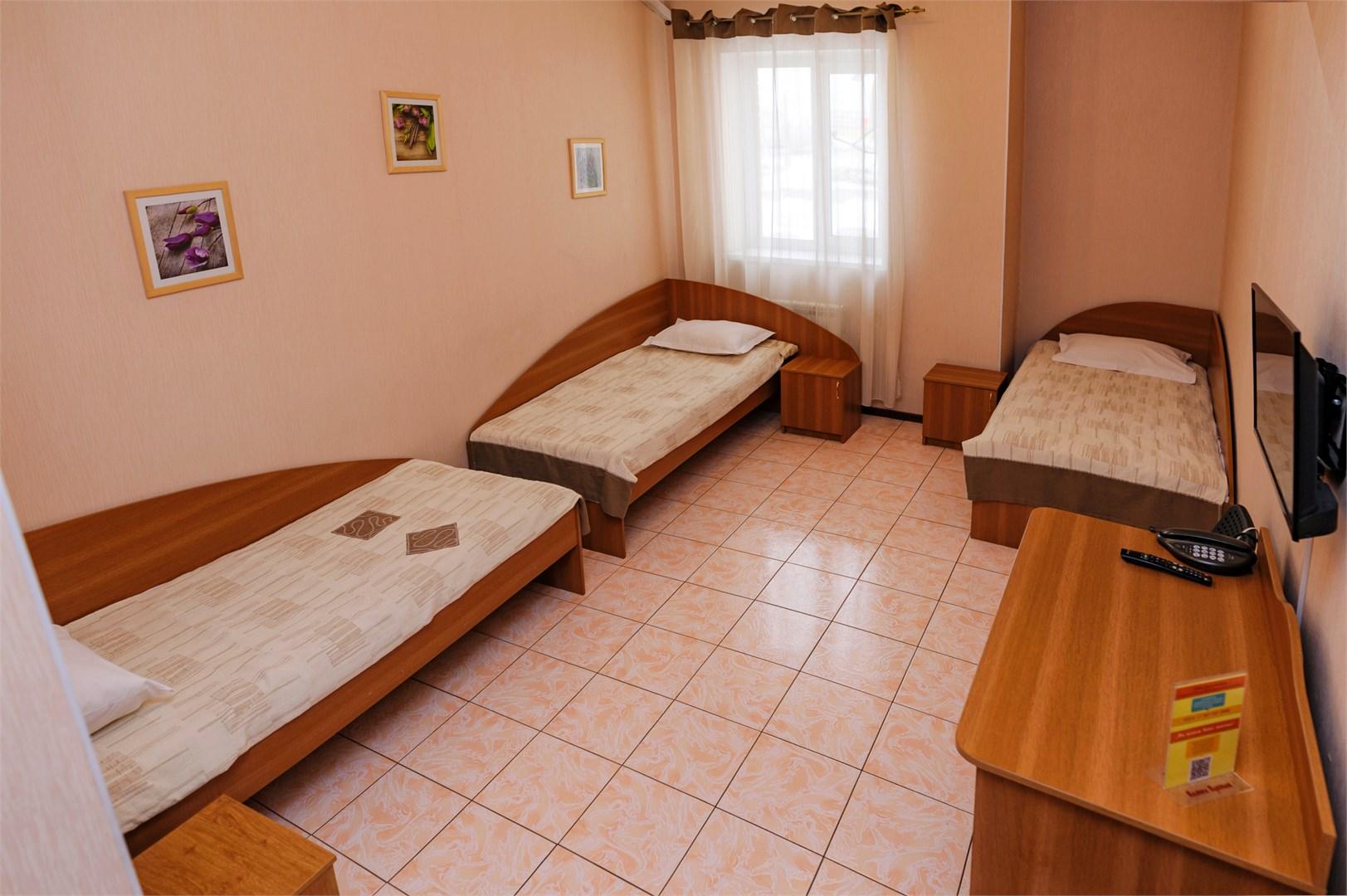 Фото Калина красная