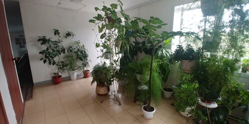 Силькари  фото 5