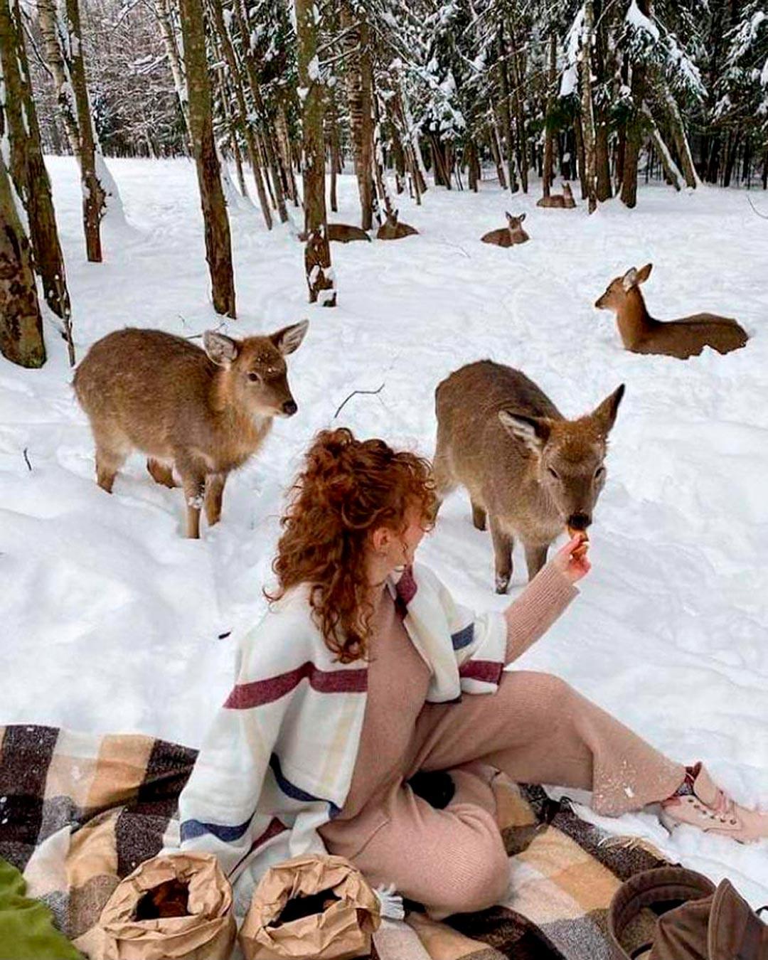 Фото Бэмби Лэнд