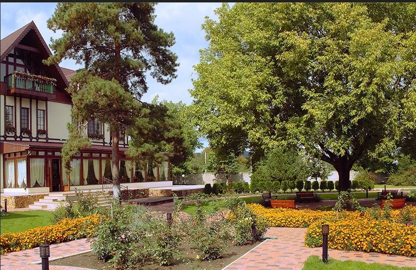 Фото Березки