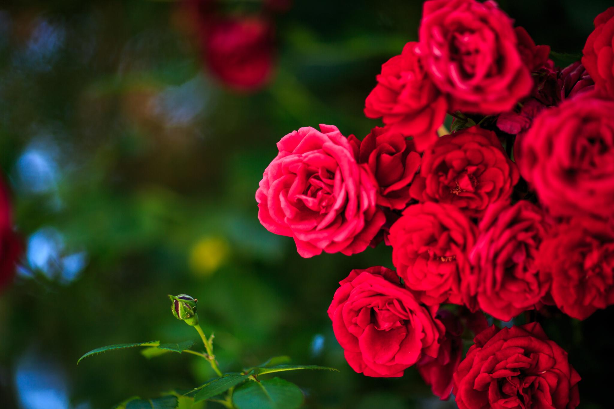 Фото Панорама