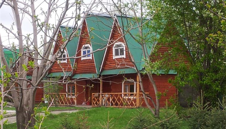 Фото Колибри