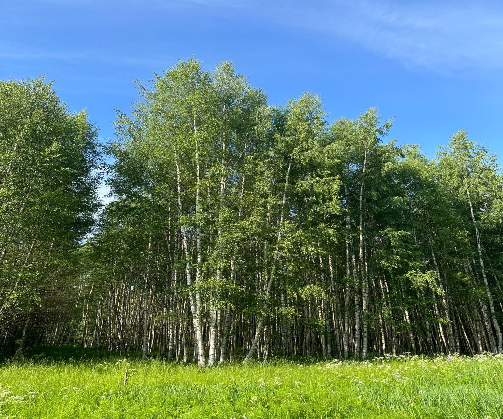 Фото Усадьба Кожиных