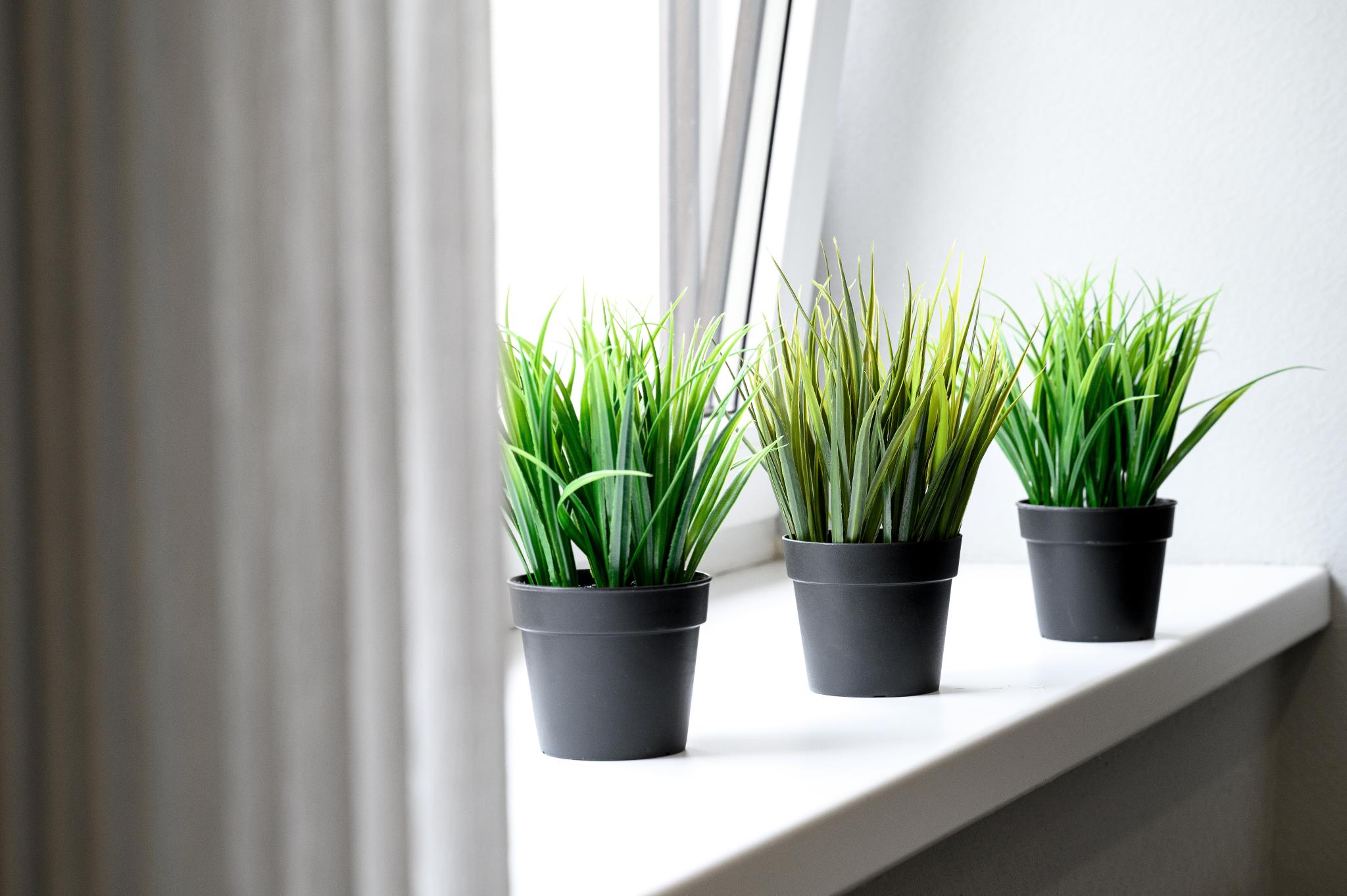 Фото Номера на Сенной