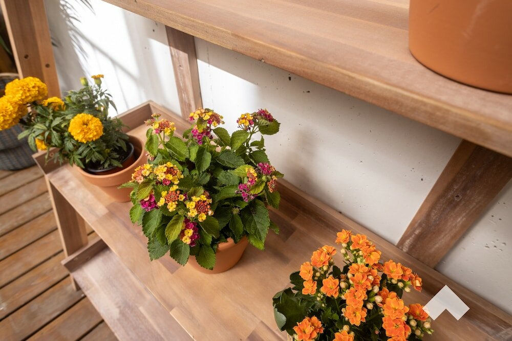 Фото Almad1 · Artsy Retreat in the Heart of Porto