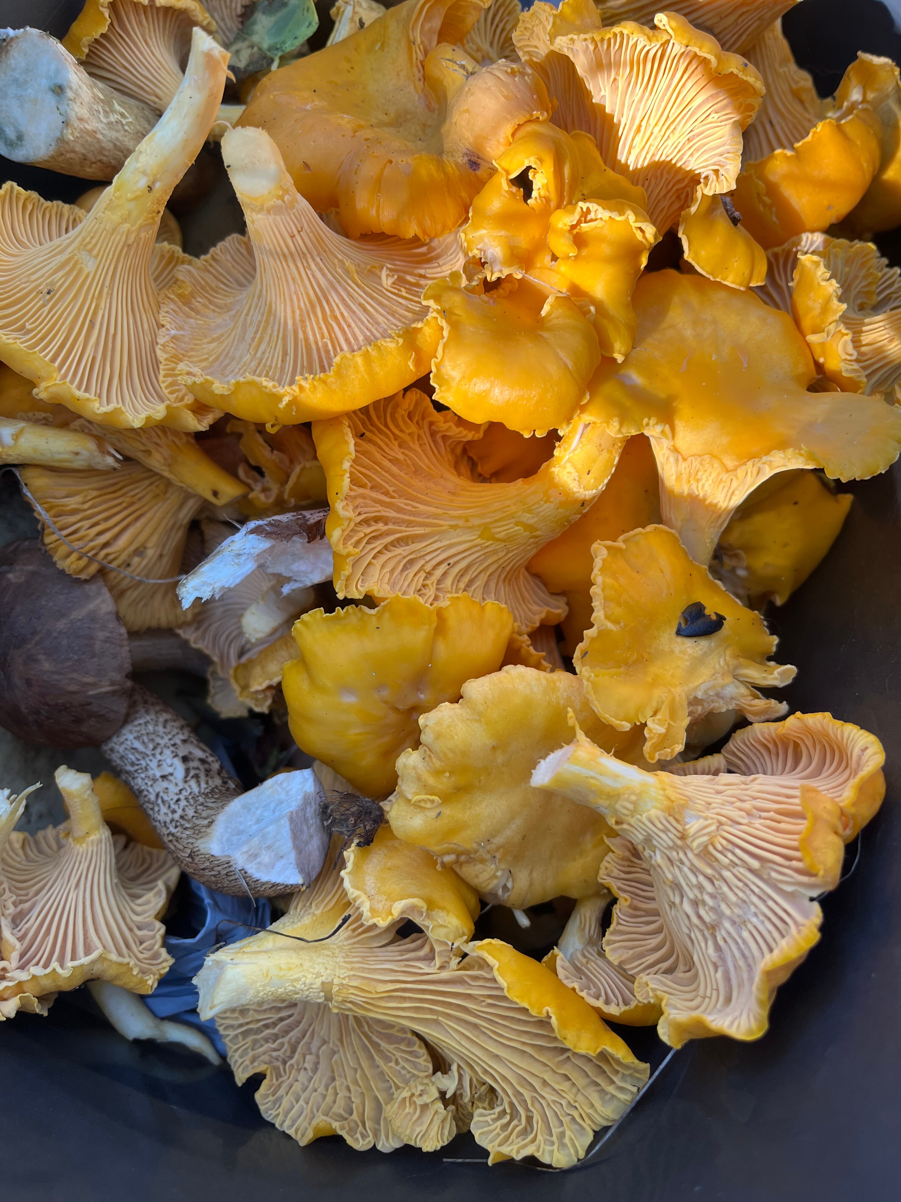 Фото Аквасторис